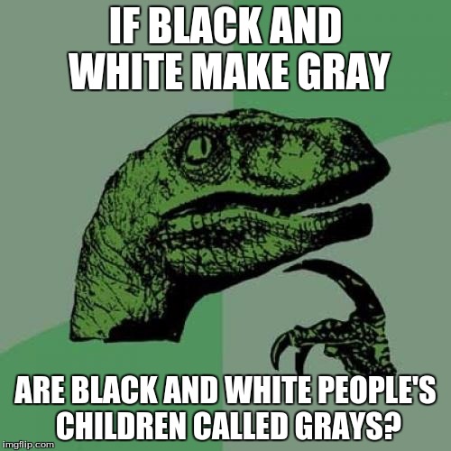Philosoraptor | IF BLACK AND WHITE MAKE GRAY; ARE BLACK AND WHITE PEOPLE'S CHILDREN CALLED GRAYS? | image tagged in memes,philosoraptor | made w/ Imgflip meme maker
