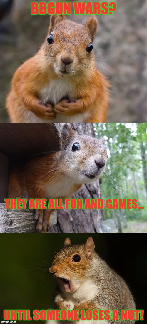  bad pun squirrel | BBGUN WARS? THEY ARE ALL FUN AND GAMES... UNTIL SOMEONE LOSES A NUT! | image tagged in bad pun squirrel | made w/ Imgflip meme maker