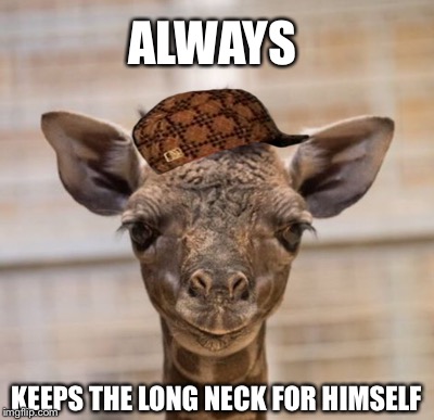 YOUNG GIRAFFE | ALWAYS; KEEPS THE LONG NECK FOR HIMSELF | image tagged in giraffe | made w/ Imgflip meme maker