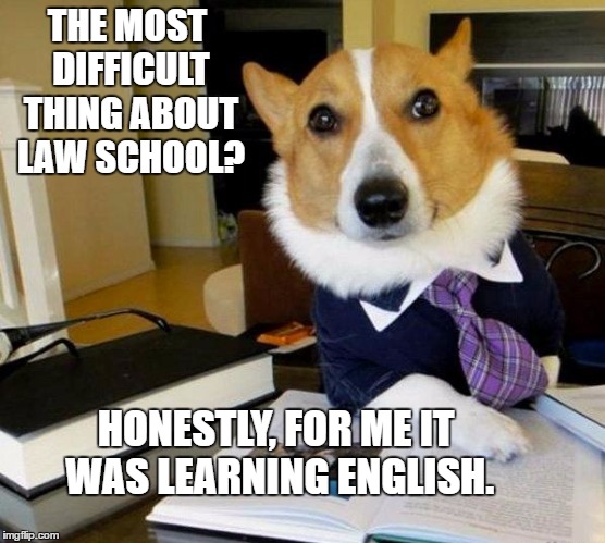 Lawyer dog | THE MOST DIFFICULT THING ABOUT LAW SCHOOL? HONESTLY, FOR ME IT WAS LEARNING ENGLISH. | image tagged in lawyer dog | made w/ Imgflip meme maker