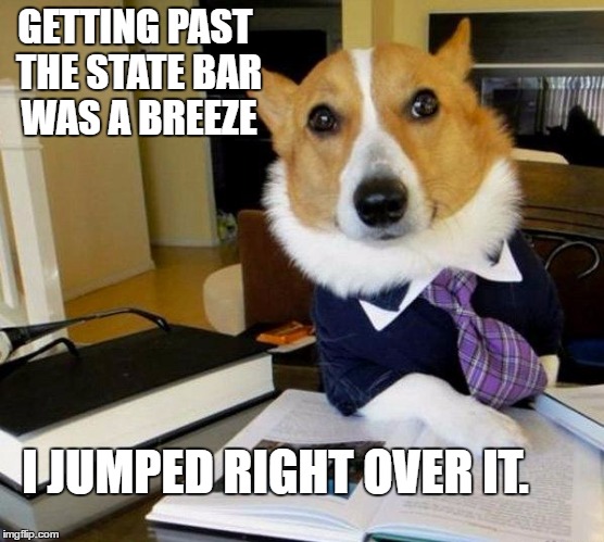 Lawyer dog | GETTING PAST THE STATE BAR WAS A BREEZE; I JUMPED RIGHT OVER IT. | image tagged in lawyer dog | made w/ Imgflip meme maker