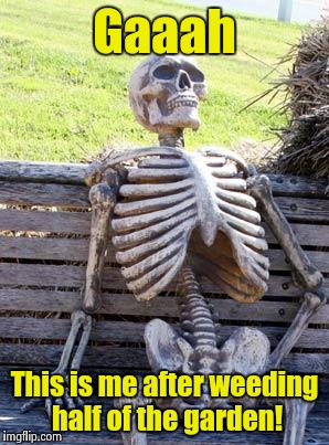 Waiting Skeleton Meme | Gaaah This is me after weeding half of the garden! | image tagged in memes,waiting skeleton | made w/ Imgflip meme maker