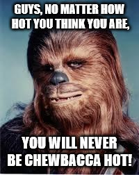chewbacca | GUYS, NO MATTER HOW HOT YOU THINK YOU ARE, YOU WILL NEVER BE CHEWBACCA HOT! | image tagged in chewbacca | made w/ Imgflip meme maker