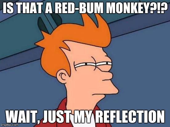 Futurama Fry | IS THAT A RED-BUM MONKEY?!? WAIT, JUST MY REFLECTION | image tagged in memes,futurama fry | made w/ Imgflip meme maker