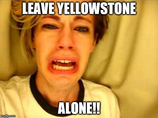 Leave Britney Alone |  LEAVE YELLOWSTONE; ALONE!! | image tagged in leave britney alone | made w/ Imgflip meme maker