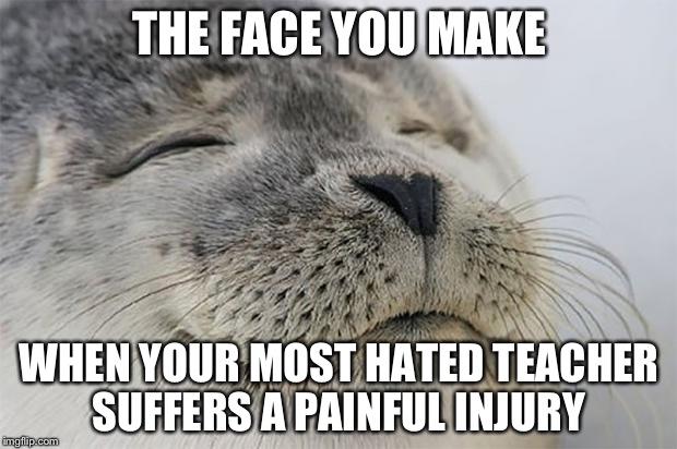 Satisfied Seal | THE FACE YOU MAKE; WHEN YOUR MOST HATED TEACHER SUFFERS A PAINFUL INJURY | image tagged in memes,satisfied seal | made w/ Imgflip meme maker