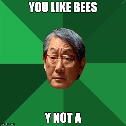 High Expectations Asian Father | YOU LIKE BEES; Y NOT A | image tagged in memes,high expectations asian father | made w/ Imgflip meme maker