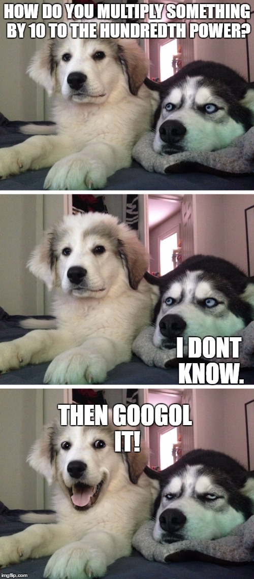 stupid math joke | HOW DO YOU MULTIPLY SOMETHING BY 10 TO THE HUNDREDTH POWER? I DONT KNOW. THEN GOOGOL IT! | image tagged in bad pun dogs | made w/ Imgflip meme maker