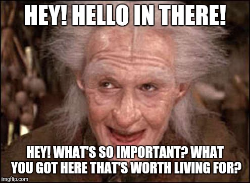 HEY! HELLO IN THERE! HEY! WHAT'S SO IMPORTANT? WHAT YOU GOT HERE THAT'S WORTH LIVING FOR? | made w/ Imgflip meme maker