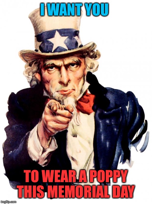 I made a very long tribute meme for Memorial Day. It lists one fallen soldier from every major American conflict. see comments | I WANT YOU; TO WEAR A POPPY THIS MEMORIAL DAY | image tagged in memes,uncle sam,memorial day,soldier,thank you | made w/ Imgflip meme maker