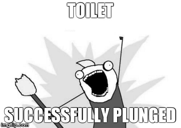 Best feeling in life... | TOILET; SUCCESSFULLY PLUNGED | image tagged in memes,x all the y | made w/ Imgflip meme maker
