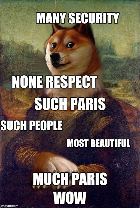 Wow | MUCH PARIS MANY SECURITY MOST BEAUTIFUL SUCH PEOPLE NONE RESPECT SUCH PARIS | image tagged in wow | made w/ Imgflip meme maker