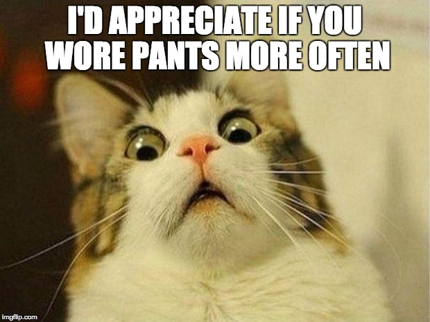 Scared Cat Meme | I'D APPRECIATE IF YOU WORE PANTS MORE OFTEN | image tagged in memes,scared cat | made w/ Imgflip meme maker