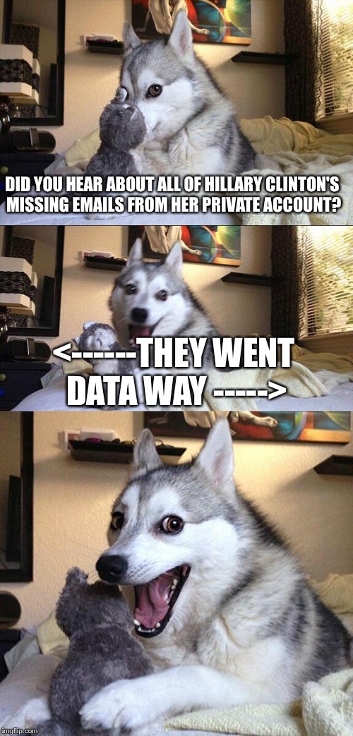 Bad Pun Dog Meme | DID YOU HEAR ABOUT ALL OF HILLARY CLINTON'S MISSING EMAILS FROM HER PRIVATE ACCOUNT? <------THEY WENT DATA WAY -----> | image tagged in memes,bad pun dog | made w/ Imgflip meme maker