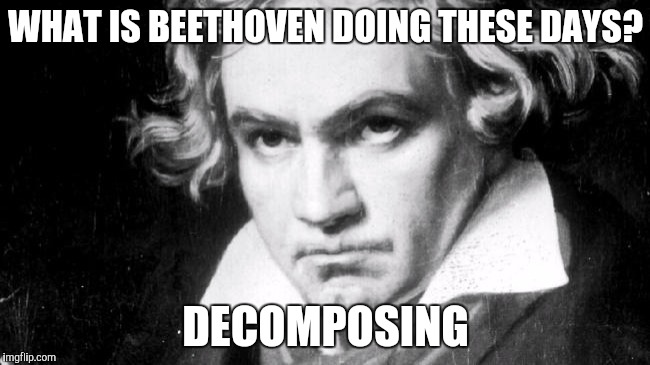 The Sound Of Music | WHAT IS BEETHOVEN DOING THESE DAYS? DECOMPOSING | image tagged in memes | made w/ Imgflip meme maker