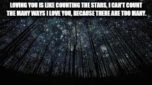 LOVING YOU IS LIKE COUNTING THE STARS, I CAN'T COUNT THE MANY WAYS I LOVE YOU, BECAUSE THERE ARE TOO MANY. | image tagged in i love you | made w/ Imgflip meme maker