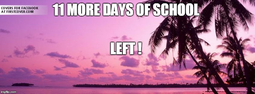 Endless Summer | 11 MORE DAYS OF SCHOOL; LEFT ! | image tagged in endless summer | made w/ Imgflip meme maker