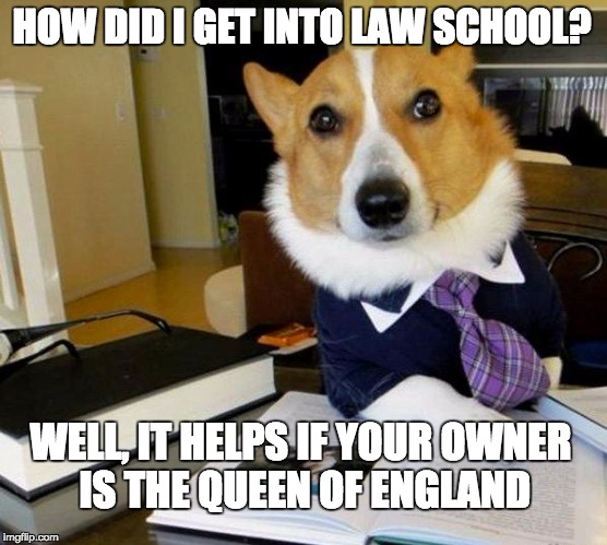 Lawyer dog | HOW DID I GET INTO LAW SCHOOL? WELL, IT HELPS IF YOUR OWNER IS THE QUEEN OF ENGLAND | image tagged in lawyer dog | made w/ Imgflip meme maker