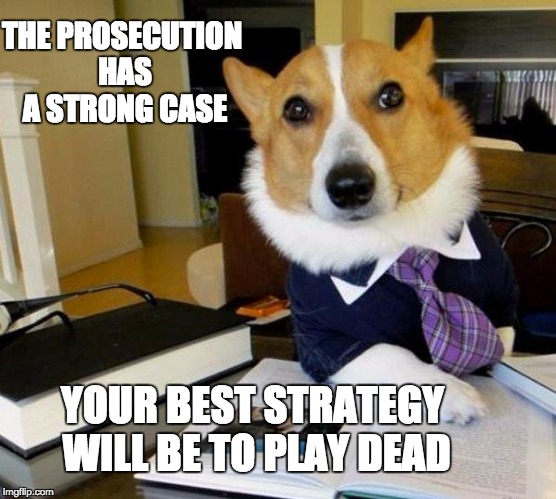 Lawyer dog | THE PROSECUTION HAS A STRONG CASE; YOUR BEST STRATEGY WILL BE TO PLAY DEAD | image tagged in lawyer dog | made w/ Imgflip meme maker