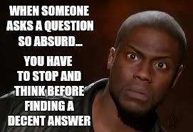 Kevin Hart Meme | WHEN SOMEONE ASKS A QUESTION SO ABSURD... YOU HAVE TO STOP AND THINK BEFORE FINDING A DECENT ANSWER | image tagged in memes,kevin hart the hell | made w/ Imgflip meme maker
