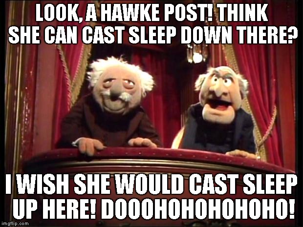 Statler and Waldorf | LOOK, A HAWKE POST! THINK SHE CAN CAST SLEEP DOWN THERE? I WISH SHE WOULD CAST SLEEP UP HERE! DOOOHOHOHOHOHO! | image tagged in statler and waldorf | made w/ Imgflip meme maker