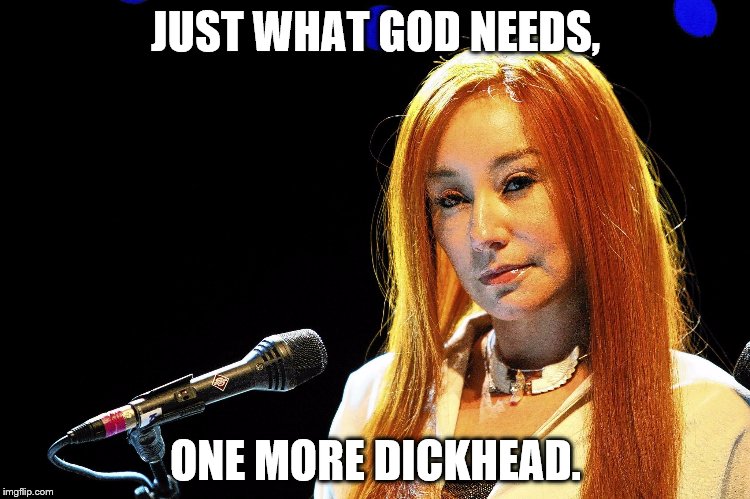 Tori meme | JUST WHAT GOD NEEDS, ONE MORE DICKHEAD. | image tagged in tori amos | made w/ Imgflip meme maker