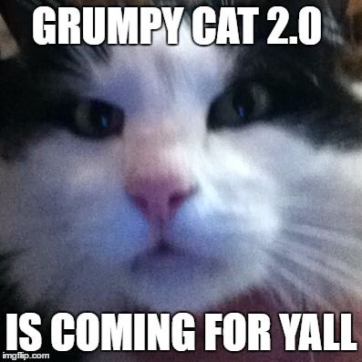  GRUMPY CAT 2.0; IS COMING FOR YALL | image tagged in grumpy cat 20 | made w/ Imgflip meme maker