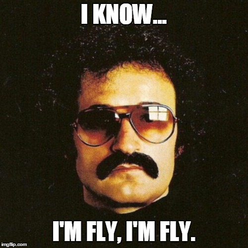 Giorgio Moroder cool mustache | I KNOW... I'M FLY, I'M FLY. | image tagged in giorgio moroder cool mustache | made w/ Imgflip meme maker