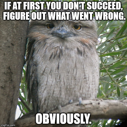 Wise Advice Potoo | IF AT FIRST YOU DON'T SUCCEED, FIGURE OUT WHAT WENT WRONG. OBVIOUSLY. | image tagged in wise advice potoo | made w/ Imgflip meme maker