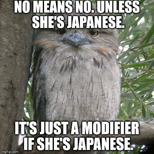 Wise Advice Potoo | NO MEANS NO. UNLESS SHE'S JAPANESE. IT'S JUST A MODIFIER IF SHE'S JAPANESE. | image tagged in wise advice potoo | made w/ Imgflip meme maker