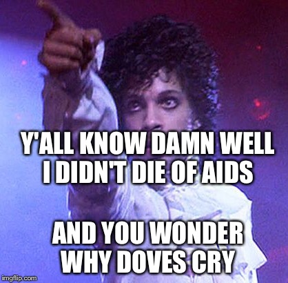 Y'ALL KNOW DAMN WELL I DIDN'T DIE OF AIDS; AND YOU WONDER WHY DOVES CRY | image tagged in prince,purple rain,aids,cry,dove | made w/ Imgflip meme maker