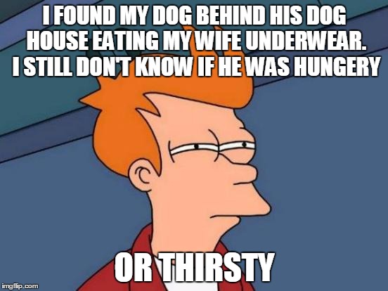 The biggest question the world has ever known. | I FOUND MY DOG BEHIND HIS DOG HOUSE EATING MY WIFE UNDERWEAR. I STILL DON'T KNOW IF HE WAS HUNGERY; OR THIRSTY | image tagged in memes,futurama fry | made w/ Imgflip meme maker