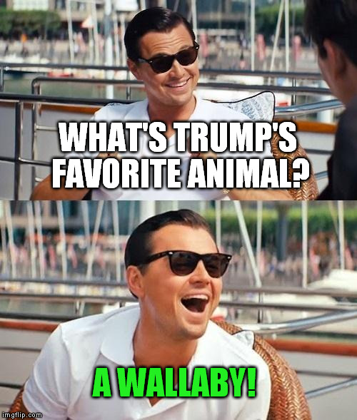 Leonardo Dicaprio Wolf Of Wall Street Meme | WHAT'S TRUMP'S FAVORITE ANIMAL? A WALLABY! | image tagged in memes,leonardo dicaprio wolf of wall street,donald trump | made w/ Imgflip meme maker