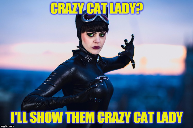 CRAZY CAT LADY? I'LL SHOW THEM CRAZY CAT LADY | made w/ Imgflip meme maker