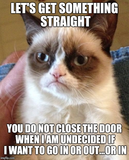 Indecision is becoming on a cat | LET'S GET SOMETHING STRAIGHT; YOU DO NOT CLOSE THE DOOR WHEN I AM UNDECIDED IF I WANT TO GO IN OR OUT...OR IN | image tagged in memes,grumpy cat | made w/ Imgflip meme maker