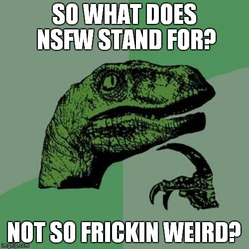 Philosoraptor | SO WHAT DOES NSFW STAND FOR? NOT SO FRICKIN WEIRD? | image tagged in memes,philosoraptor | made w/ Imgflip meme maker