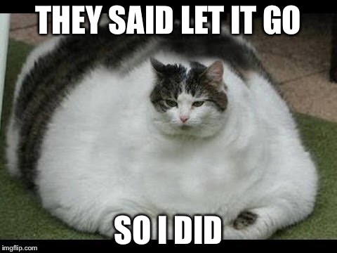 THEY SAID LET IT GO; SO I DID | image tagged in cats,fat cat | made w/ Imgflip meme maker
