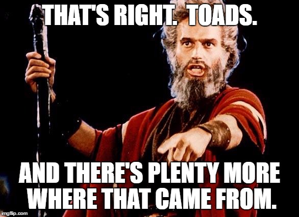 Angry Old Moses | THAT'S RIGHT.  TOADS. AND THERE'S PLENTY MORE WHERE THAT CAME FROM. | image tagged in angry old moses | made w/ Imgflip meme maker