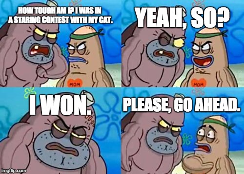 How Tough Are You Meme | YEAH, SO? HOW TOUGH AM I? I WAS IN A STARING CONTEST WITH MY CAT. I WON. PLEASE, GO AHEAD. | image tagged in memes,how tough are you | made w/ Imgflip meme maker