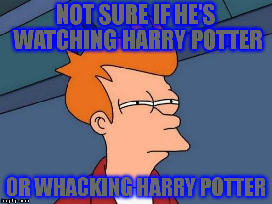 Futurama Fry Meme | NOT SURE IF HE'S WATCHING HARRY POTTER OR WHACKING HARRY POTTER | image tagged in memes,futurama fry | made w/ Imgflip meme maker