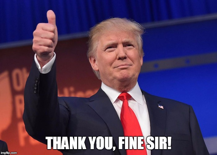DJ Trump | THANK YOU, FINE SIR! | image tagged in dj trump | made w/ Imgflip meme maker