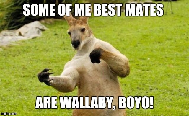 SOME OF ME BEST MATES ARE WALLABY, BOYO! | made w/ Imgflip meme maker