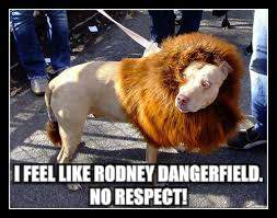 I FEEL LIKE RODNEY DANGERFIELD. NO RESPECT! | made w/ Imgflip meme maker