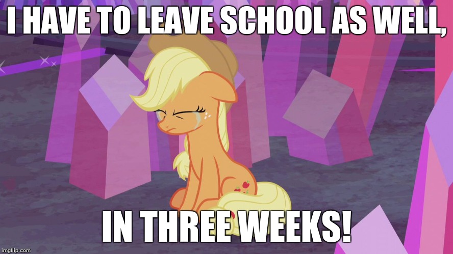 First world problem Applejack | I HAVE TO LEAVE SCHOOL AS WELL, IN THREE WEEKS! | image tagged in first world problem applejack | made w/ Imgflip meme maker