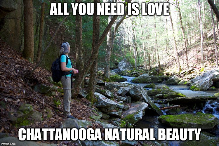 All you need is love | ALL YOU NEED IS LOVE; CHATTANOOGA NATURAL BEAUTY | image tagged in chattanooga | made w/ Imgflip meme maker