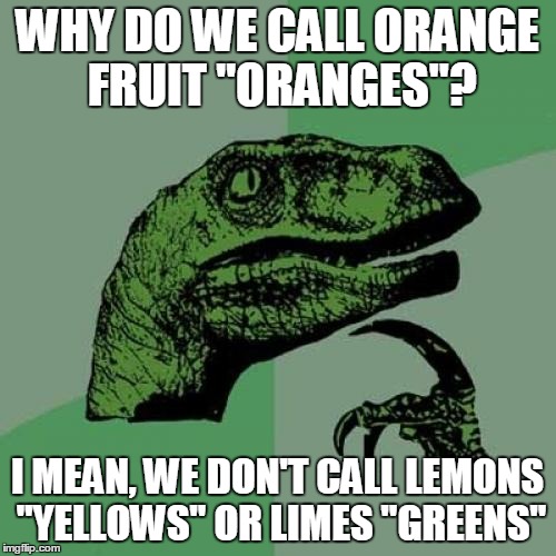 Philosoraptor Meme | WHY DO WE CALL ORANGE FRUIT "ORANGES"? I MEAN, WE DON'T CALL LEMONS "YELLOWS" OR LIMES "GREENS" | image tagged in memes,philosoraptor | made w/ Imgflip meme maker