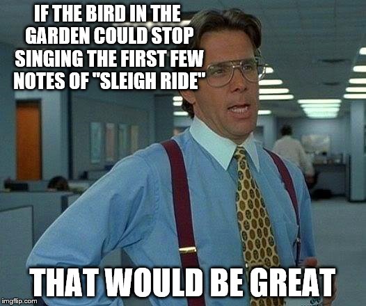 It whistles just enough notes for me to recognise the tune and then have it in my head for a while... | IF THE BIRD IN THE GARDEN COULD STOP SINGING THE FIRST FEW NOTES OF "SLEIGH RIDE"; THAT WOULD BE GREAT | image tagged in memes,that would be great,birds | made w/ Imgflip meme maker