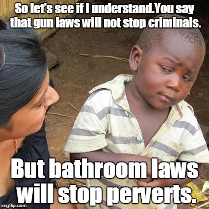 Third World Skeptical Kid Meme | So let's see if I understand.You say that gun laws will not stop criminals. But bathroom laws will stop perverts. | image tagged in memes,third world skeptical kid | made w/ Imgflip meme maker