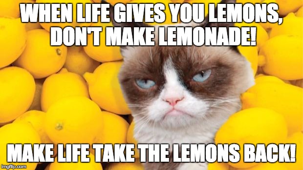 Portal 2 quote :3 | WHEN LIFE GIVES YOU LEMONS, DON'T MAKE LEMONADE! MAKE LIFE TAKE THE LEMONS BACK! | image tagged in grumpy cat lemons | made w/ Imgflip meme maker
