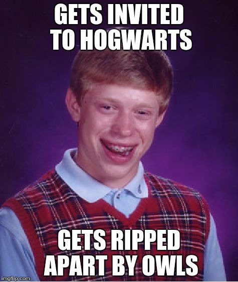 Bad Luck Brian | GETS INVITED TO HOGWARTS; GETS RIPPED APART BY OWLS | image tagged in memes,bad luck brian | made w/ Imgflip meme maker